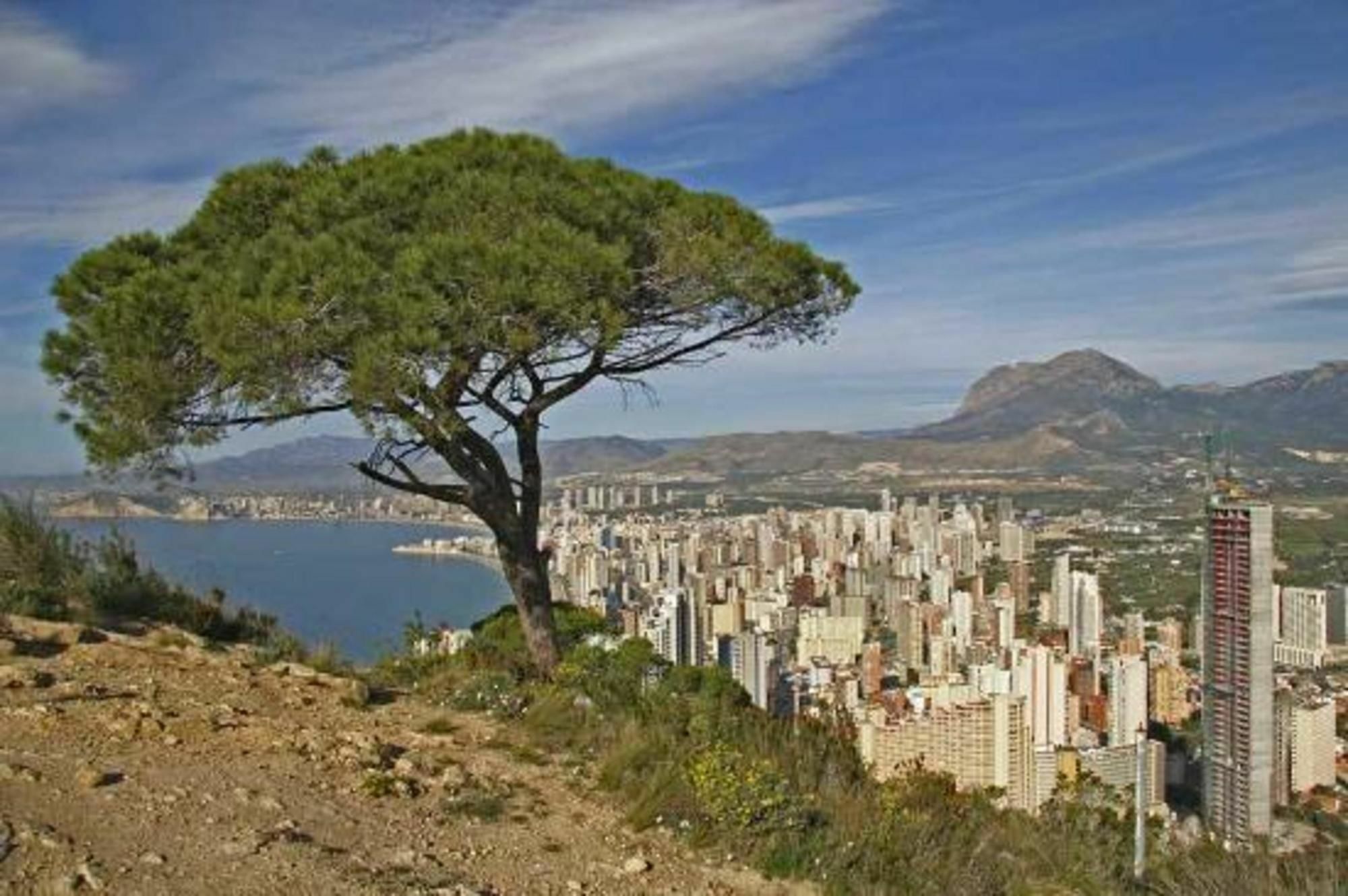 Apartment In Benidorm, Alicante 103115 By Mo Rentals 外观 照片